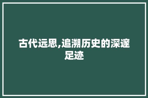 古代远思,追溯历史的深邃足迹 个人简历