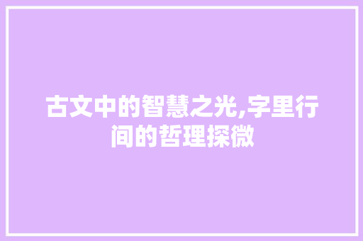 古文中的智慧之光,字里行间的哲理探微
