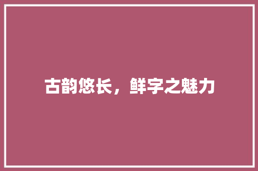 古韵悠长，鲜字之魅力