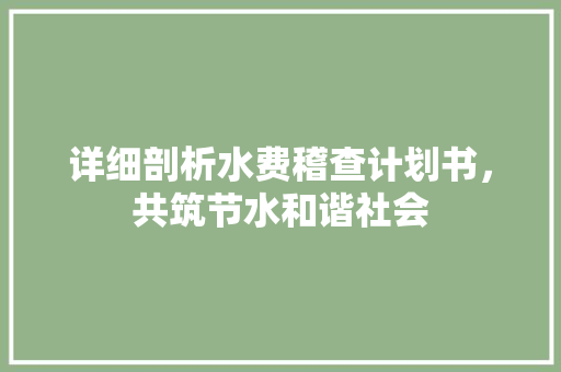 详细剖析水费稽查计划书，共筑节水和谐社会