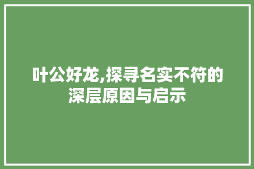 叶公好龙,探寻名实不符的深层原因与启示