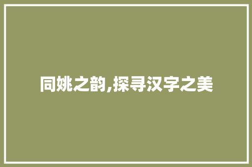 同姚之韵,探寻汉字之美 工作计划