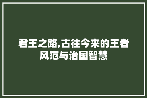 君王之路,古往今来的王者风范与治国智慧 诗词鉴赏
