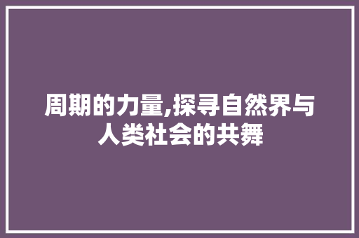 周期的力量,探寻自然界与人类社会的共舞 诗词鉴赏