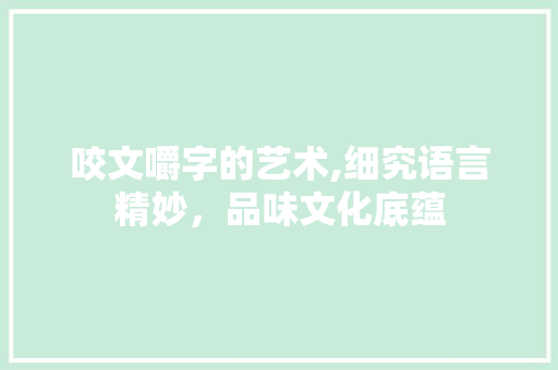 咬文嚼字的艺术,细究语言精妙，品味文化底蕴 工作计划