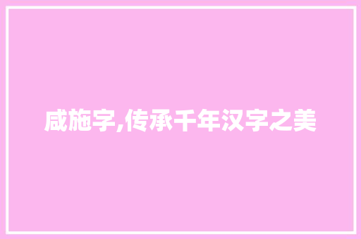 咸施字,传承千年汉字之美 工作总结