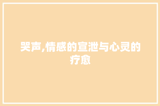 哭声,情感的宣泄与心灵的疗愈