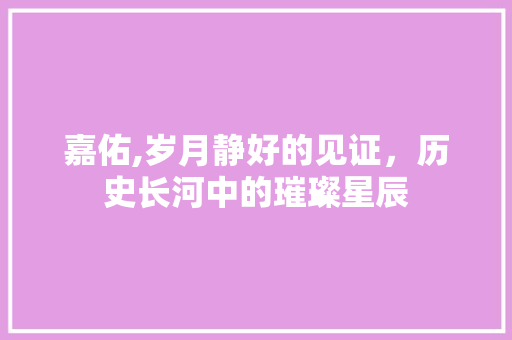 嘉佑,岁月静好的见证，历史长河中的璀璨星辰 工作总结
