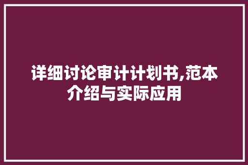 详细讨论审计计划书,范本介绍与实际应用