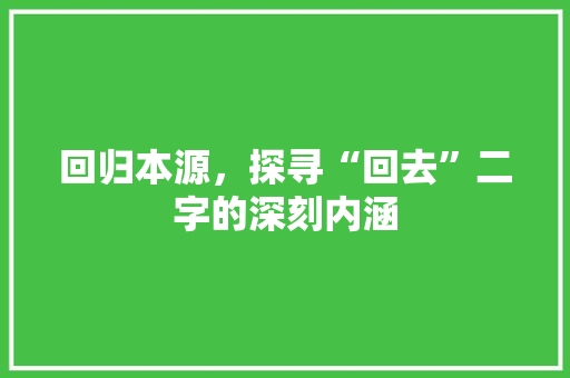 回归本源，探寻“回去”二字的深刻内涵
