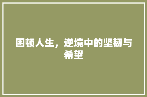 困顿人生，逆境中的坚韧与希望