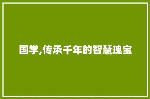 国学,传承千年的智慧瑰宝