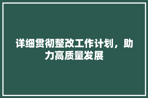 详细贯彻整改工作计划，助力高质量发展