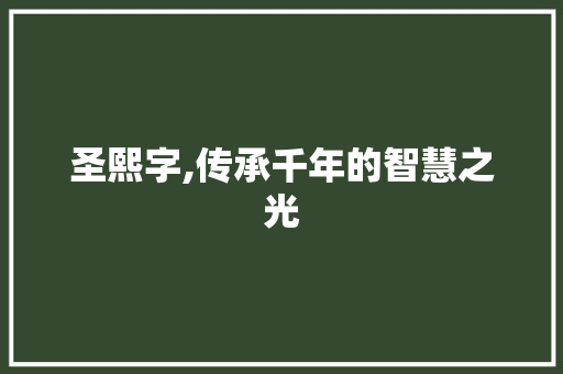 圣熙字,传承千年的智慧之光