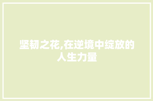 坚韧之花,在逆境中绽放的人生力量