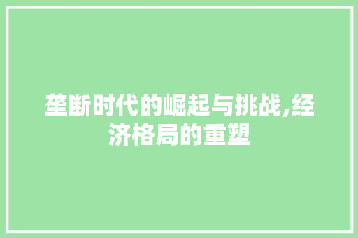 垄断时代的崛起与挑战,经济格局的重塑