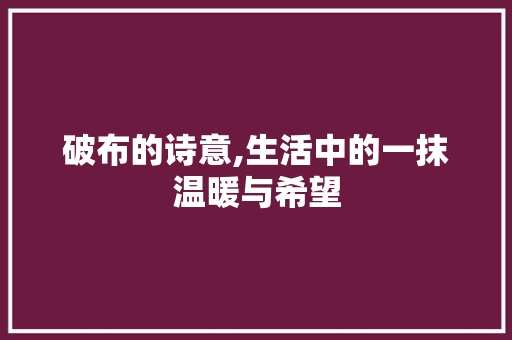 破布的诗意,生活中的一抹温暖与希望