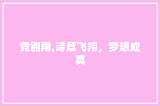 竞翱翔,诗意飞翔，梦想成真 个人简历
