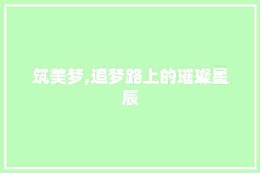 筑美梦,追梦路上的璀璨星辰