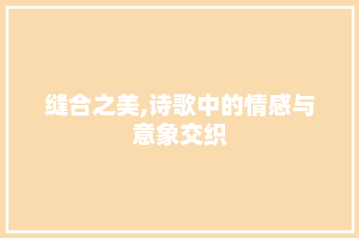 缝合之美,诗歌中的情感与意象交织 合同范本