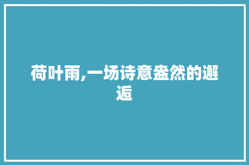 荷叶雨,一场诗意盎然的邂逅