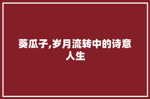 葵瓜子,岁月流转中的诗意人生