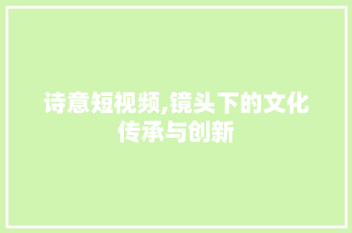 诗意短视频,镜头下的文化传承与创新