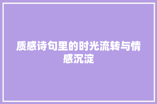 质感诗句里的时光流转与情感沉淀