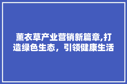 薰衣草产业营销新篇章,打造绿色生态，引领健康生活