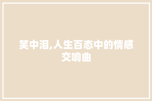笑中泪,人生百态中的情感交响曲