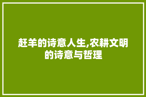 赶羊的诗意人生,农耕文明的诗意与哲理