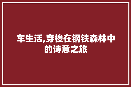 车生活,穿梭在钢铁森林中的诗意之旅