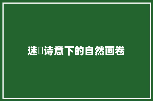 迷濛诗意下的自然画卷