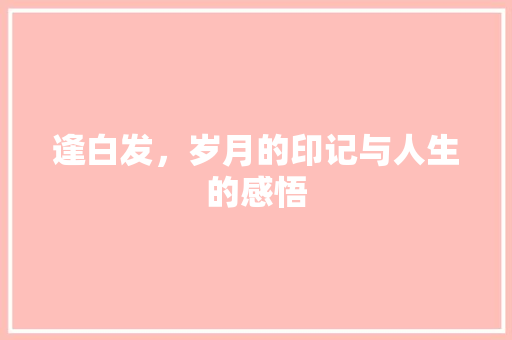 逢白发，岁月的印记与人生的感悟 成语大全