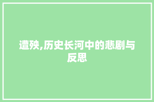 遭殃,历史长河中的悲剧与反思 合同范本
