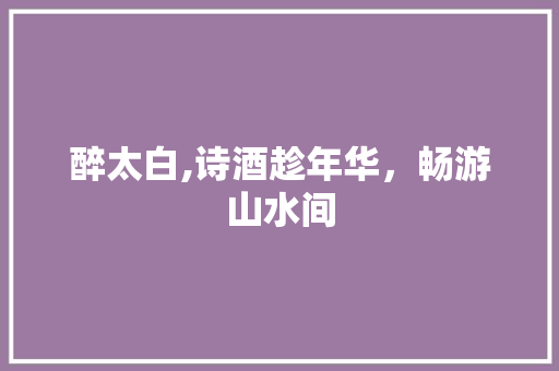醉太白,诗酒趁年华，畅游山水间 国学经典