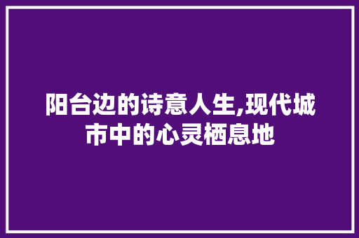 阳台边的诗意人生,现代城市中的心灵栖息地