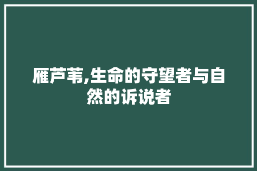 雁芦苇,生命的守望者与自然的诉说者 工作总结