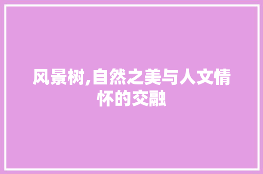 风景树,自然之美与人文情怀的交融