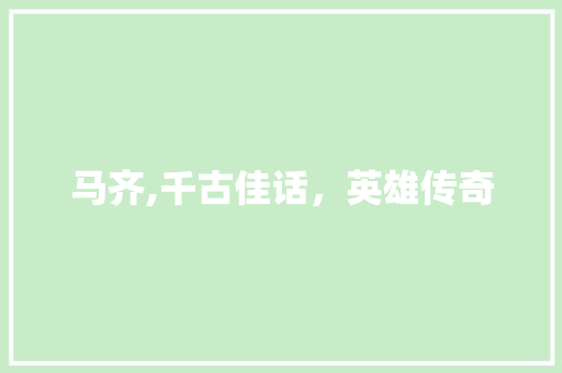 马齐,千古佳话，英雄传奇 国学经典