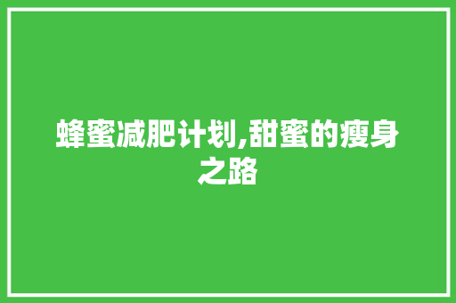 蜂蜜减肥计划,甜蜜的瘦身之路