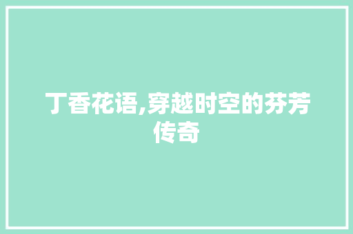 丁香花语,穿越时空的芬芳传奇