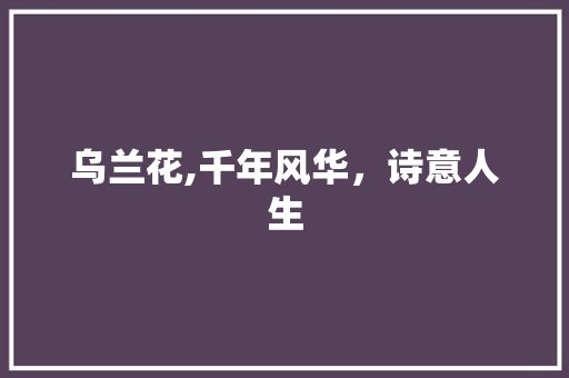 乌兰花,千年风华，诗意人生
