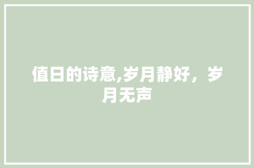 值日的诗意,岁月静好，岁月无声