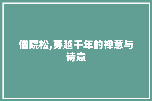 僧院松,穿越千年的禅意与诗意