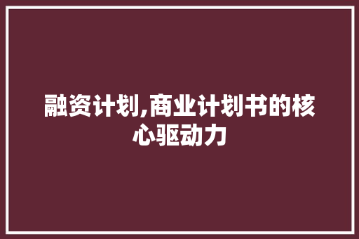 融资计划,商业计划书的核心驱动力