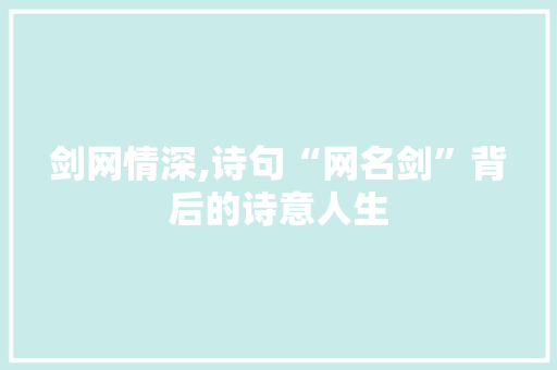 剑网情深,诗句“网名剑”背后的诗意人生