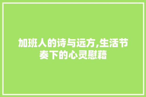 加班人的诗与远方,生活节奏下的心灵慰藉