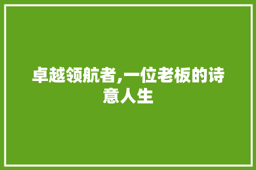 卓越领航者,一位老板的诗意人生