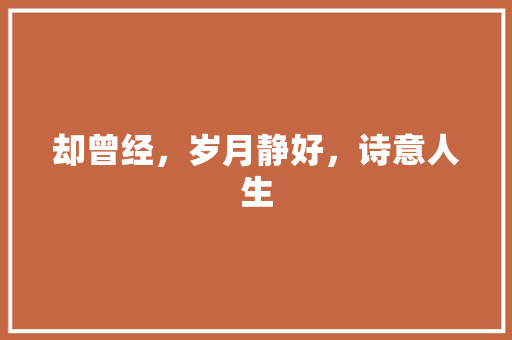 却曾经，岁月静好，诗意人生